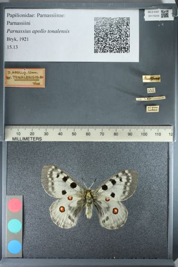 Media type: image;   Entomology 175204